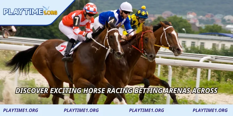 Discover exciting Horse Racing Betting arenas across