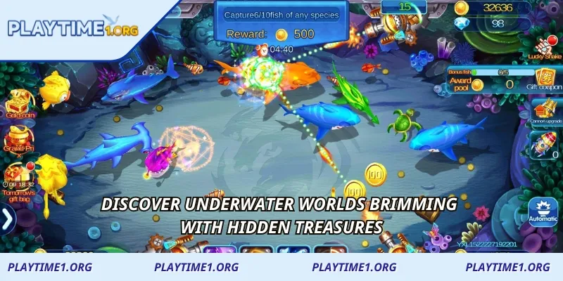 Discover underwater worlds brimming with hidden treasures
