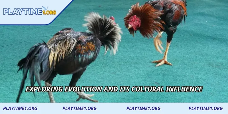 Exploring evolution and its cultural influence