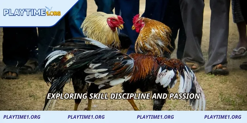Exploring skill discipline and passion