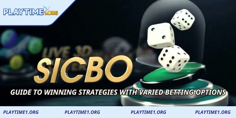 Guide to winning strategies with varied betting options