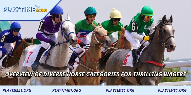 Overview of diverse horse categories for thrilling wagers