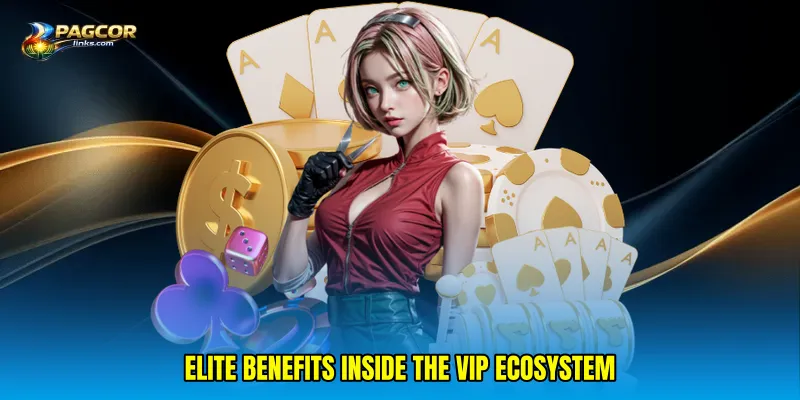Elite benefits inside the VIP ecosystem