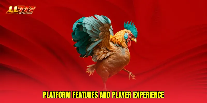 Platform features and player experience