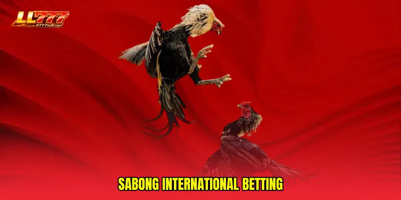 Sabong international betting