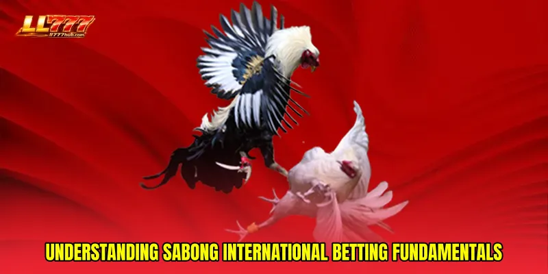 Understanding Sabong international betting fundamentals