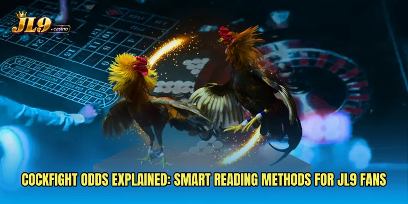 Cockfight Odds Explained: Smart Reading Methods for JL9 Fans